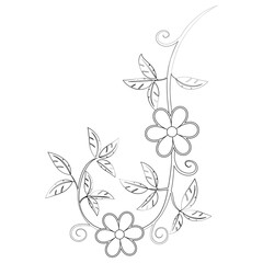 Flowers drawing with line art isolated on white background.