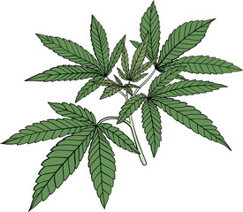 simplicity cannabis plant freehand drawing