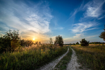 Road in the field against the sunset background