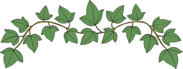 Simplicity ivy freehand drawing