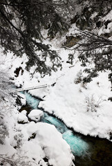 Landscape of beautiful snow mountain river blue water and spruce trees