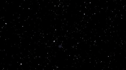 Falling snow on a black background. Selective focus.