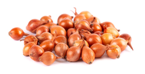 Brown mini onions isolated on a white background. Raw onion bulbs, for cultivation. French onion.
