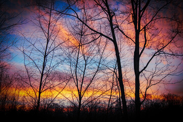 Fall 2022 - Landscape of a Beautiful Sunset over the trees in Northern Michigan in November