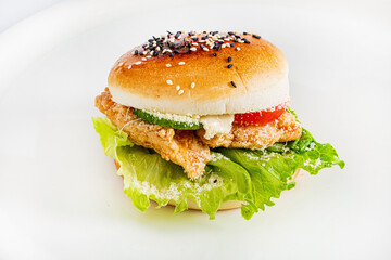 tasty burger on the white background