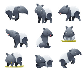 Cute Malayan Tapir as Asian Animal with White Patch and Short Nose Trunk in Different Pose Vector Set - obrazy, fototapety, plakaty