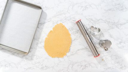 Panda shaped shortbread cookies with chocolate icing