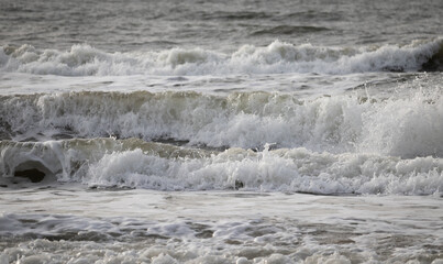 rough ocean waves with sea spray 