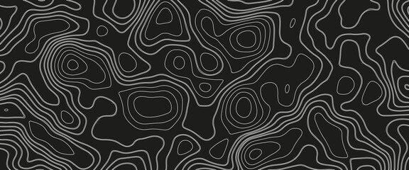 Background of the topographic map. Vintage outdoors style. Geographic abstract grid. Line topography map contour background.