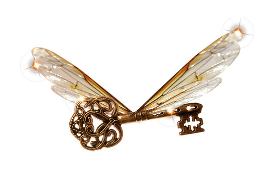 key with wings to open the right door