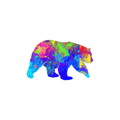 Watercolor Bear, Abstract Bear, Colorful Bear, Bear Illustration, Bear Drawing, Bear