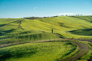 Fototapeta premium View of the Tuscan hills. Val d'Orcia at dawn sunset. Italian holidays. Ring cypress trees. Florence. Colorful fields near Asciano. Siena Province