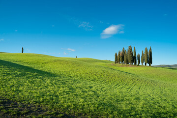 View of the Tuscan hills. Val d'Orcia at dawn sunset. Italian holidays. Ring cypress trees. Florence. Colorful fields near Asciano. Siena Province