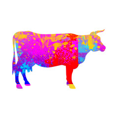Watercolor Cow, Abstract cow, Colorful cow, cow Illustration, cow Drawing, cow, beef