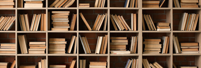 Many books on shelves in library