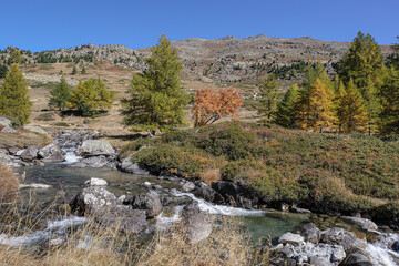 View of Claree river in Claree valley with Massif de Cerces mountains on either site, near Navache village and Briancon, Hautes-Alpes department, France