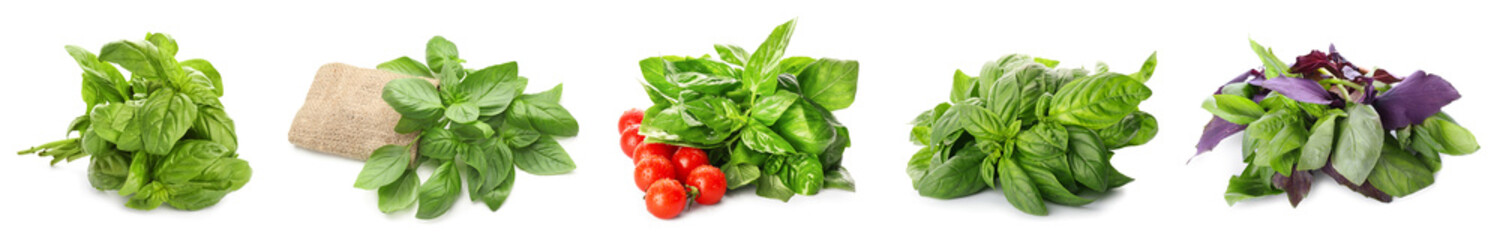 Set of fresh basil isolated on white