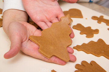 a child holds a Christmas gingerbread in the form of a Christmas tree in his hands