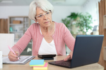 Fototapeta na wymiar senior woman concebtrating on home accounts on a laptop