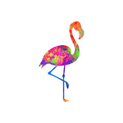 Watercolor Flamingo Abstract Flamingo, Colorful Flamingo Illustration, Flamingo Drawing, Flamingo