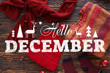Banner with stylish winter clothes and text HELLO DECEMBER © Pixel-Shot