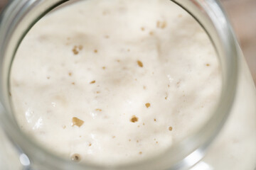 Sourdough starter