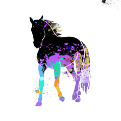 Watercolor Abstract, Colorful Illustration, Drawing