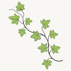 Floral ivy drawing decorative ornament flat design.