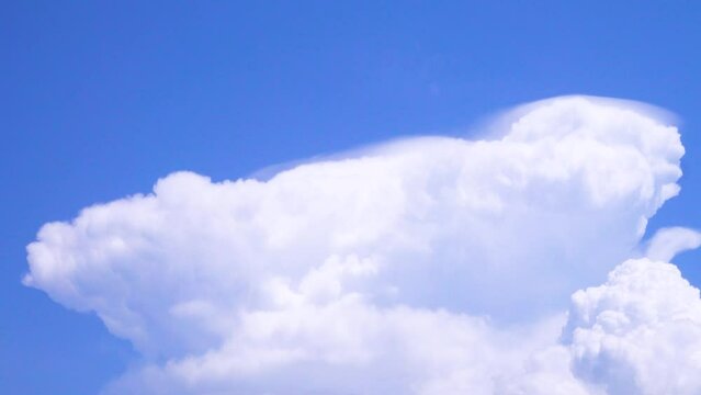 Hot wether Cumulonimbus cloud (anvil). This thundercloud rises to height of several kilometers where strong wind reigns. Wind blows away moisture and forms cloud cap, like lenticular cloud