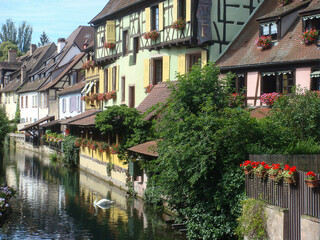 Fototapeta na wymiar Beautiful view of river, old town and white swan on a summer day. Kolmar. France.