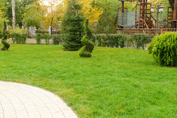 Beautiful lawn with green bushes in city park
