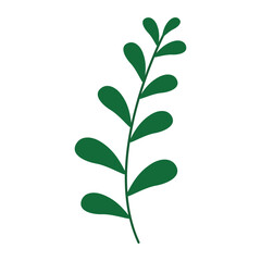 Winter Flower Illustration