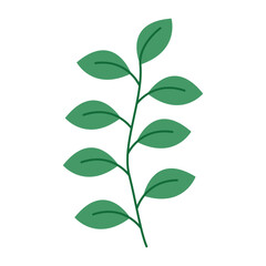 Winter Flower Illustration