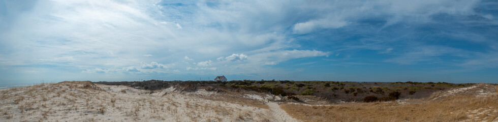 Beach Landscape