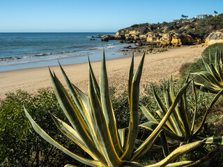 The very beautiful Oura Beach in Albufeira on the Southern Portuguese coast.