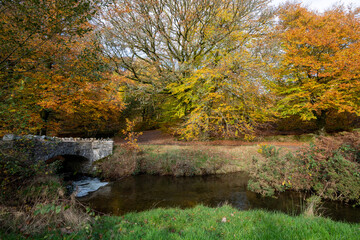 Autumn colours at Robbers Bridge in Exmoor National Park