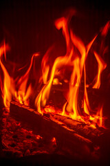  moments of firewood burning in fire