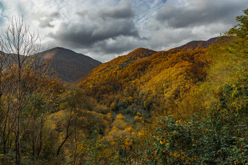 Autumn in the foothills of the Caucasus. Autumn view of the mountains. High mountains under a blue cloudy sky. Nature in the autumn forest. Beautiful mountain landscape in autumn under a blue sky.
