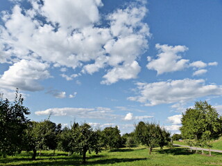 Wolken