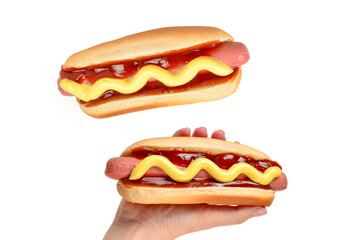 Hot dog isolated on white background. Copy space.