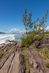 Fototapeta na wymiar Vegetation, rocks and waves in Atalaia beach