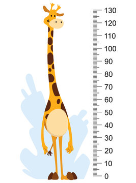 Height measure with growth ruler chart with cute cartoon giraffe animal. Funny kids meter, wall scale from 0 to 130 centimeter to measure growth. Children room wall sticker as interior decor