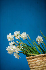 white narcissus in the basket