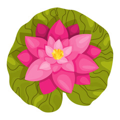 Lotus. Pink flower and leaves for advertising or invitation. Blossom, bud opening, an aquatic plant. 3D design. Isolated objects for design