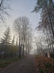 Fototapeta premium Street near Julianowskiego Park on a foggy autumn morning, Lodz, Poland