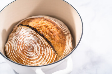 Wheat Sourdough Bread