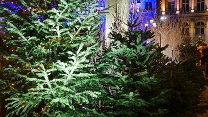 Décoration de Noel dans ou dans les environs de la mairie de Paris, décoration sublime avec des lumières, œuvres artisanales, éclairages enchanteresse, sapins soigneusement bien décorés, lampadaires 