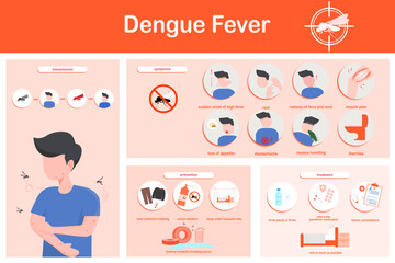 Vector illustration infographics dengue fever symptoms, transmission, prevention and treatment, flat design - obrazy, fototapety, plakaty