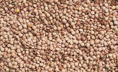 Beautiful lentils image