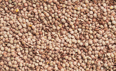 Beautiful lentils image